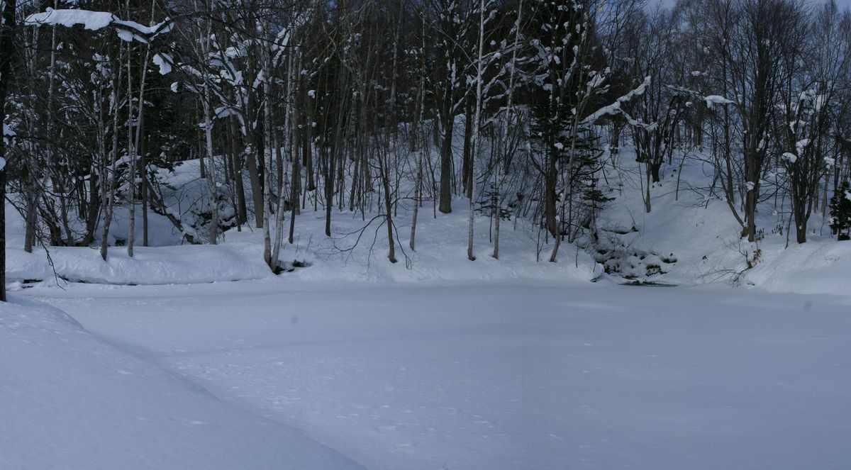 山の家へ行って来ました。20200119