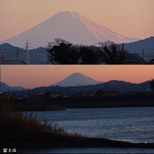 ウォーキングMS⑦ 349日目(2539日目)