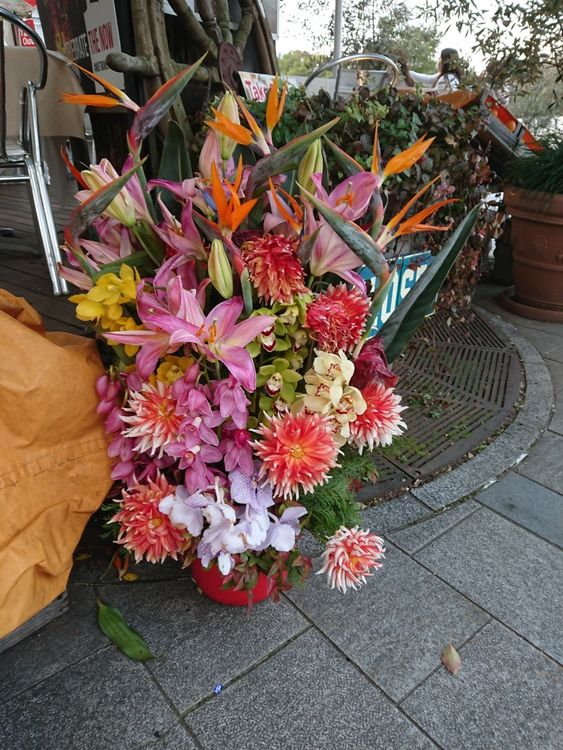 １／２２通勤途中の謎の花壇と生け花