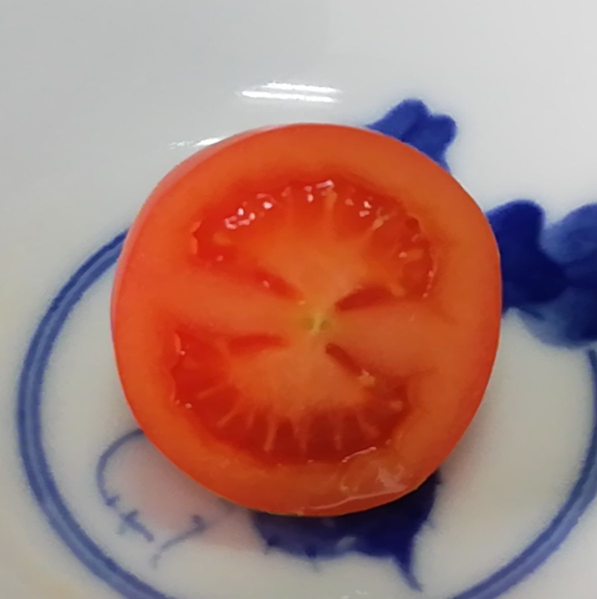 房どりトマト🍅、捻枝箇所から２段目の収穫