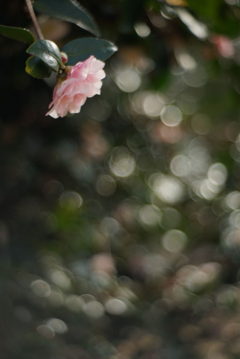 冬の雨もあがって