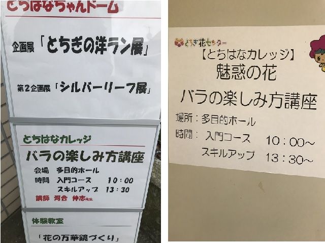 バラの本とサイン