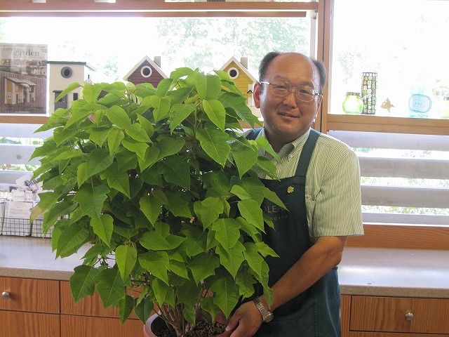 先生とポイン