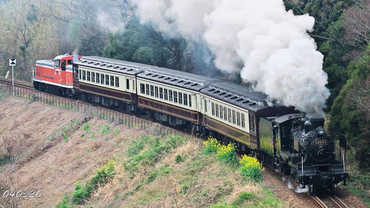 花と鉄道４:菜の花と8620