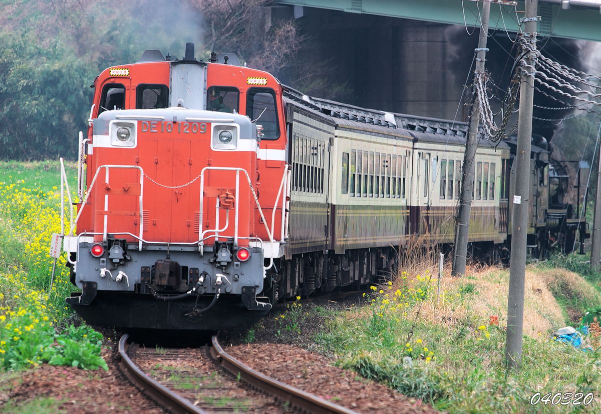 花と鉄道４:菜の花と8620