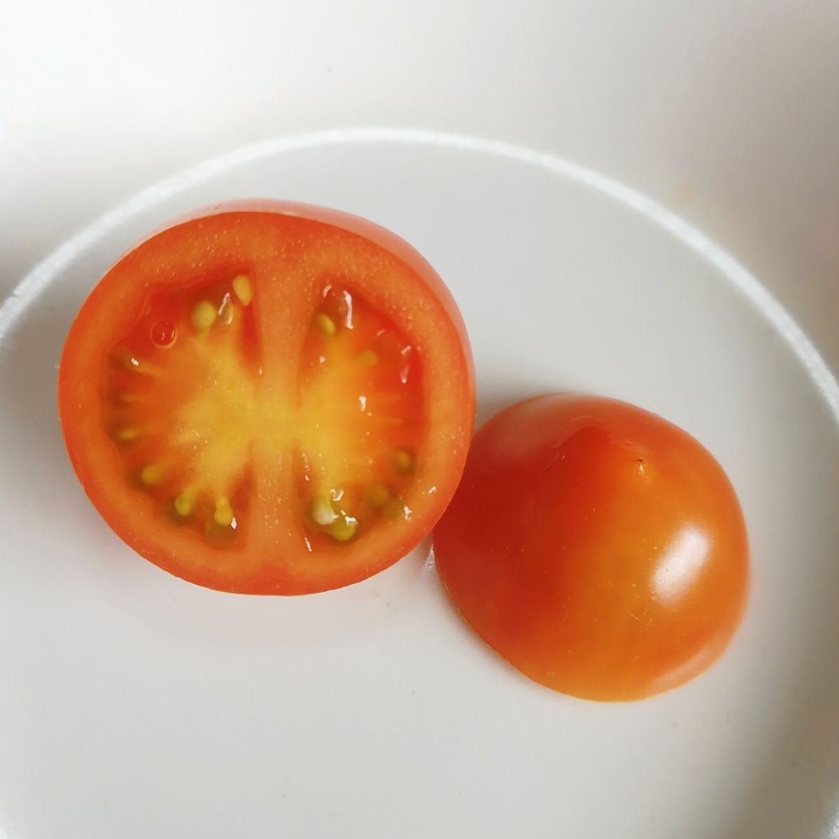 房どりトマト🍅、第２捻枝１段目から収穫