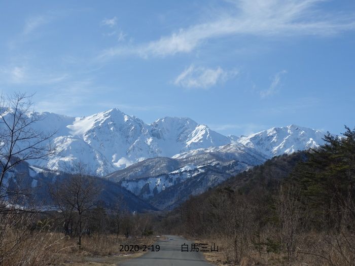 雪に負けないで