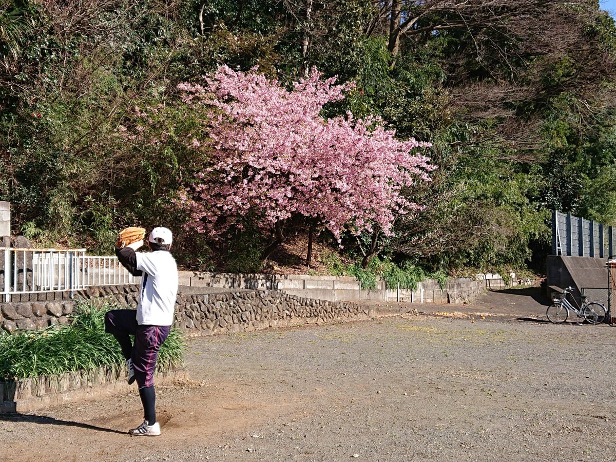 お花見散歩