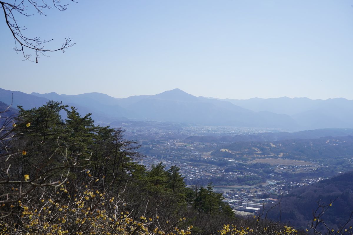 山の方に行って来ました