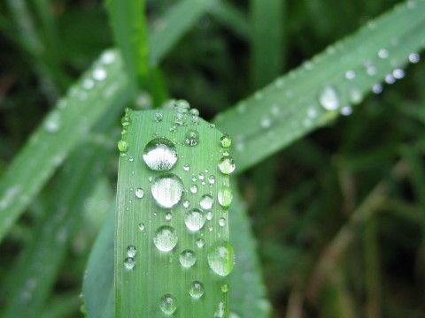 雨が降っていたのだ・・梅雨以来の雨の音