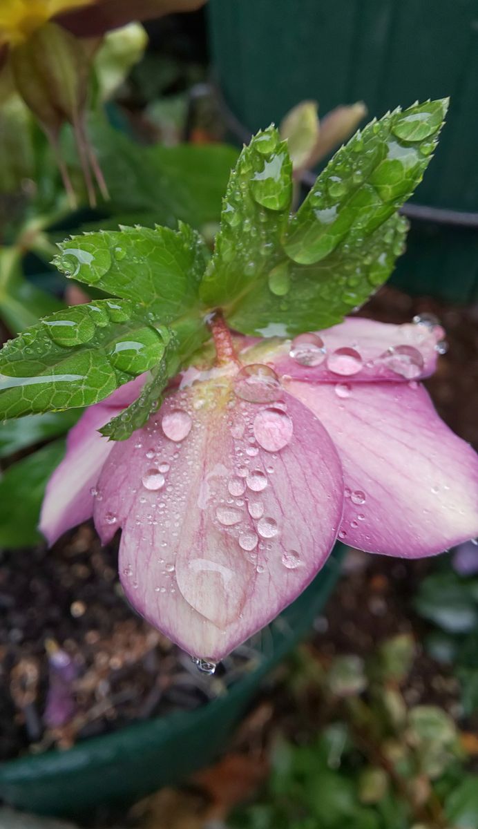 久しぶりの寒い雨☔️