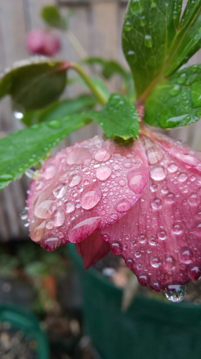 久しぶりの寒い雨☔️