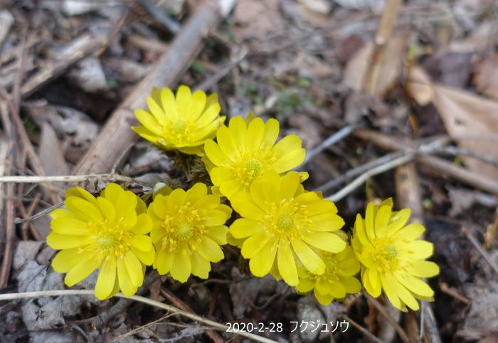 太陽の下