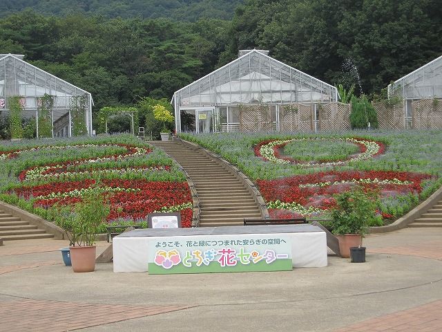 お墓参りと花センターでデートの巻①