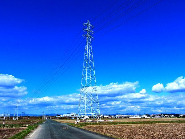 青空に凛として立つ