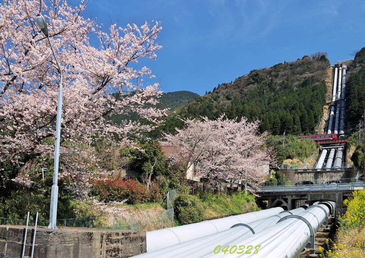 花と鉄道：桜の風景