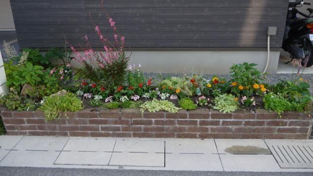 我が家の花壇、今現在の様子