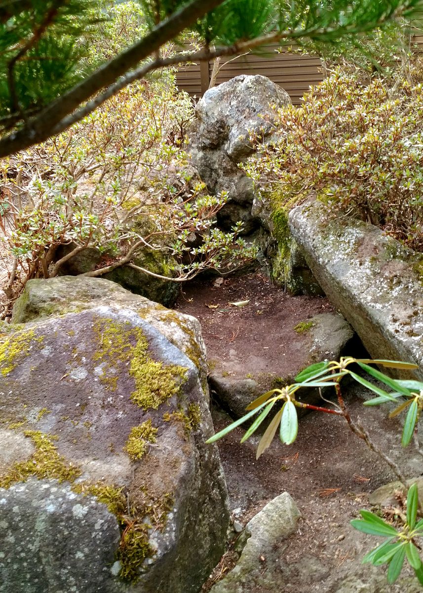 庭の南に造った築山《壱》