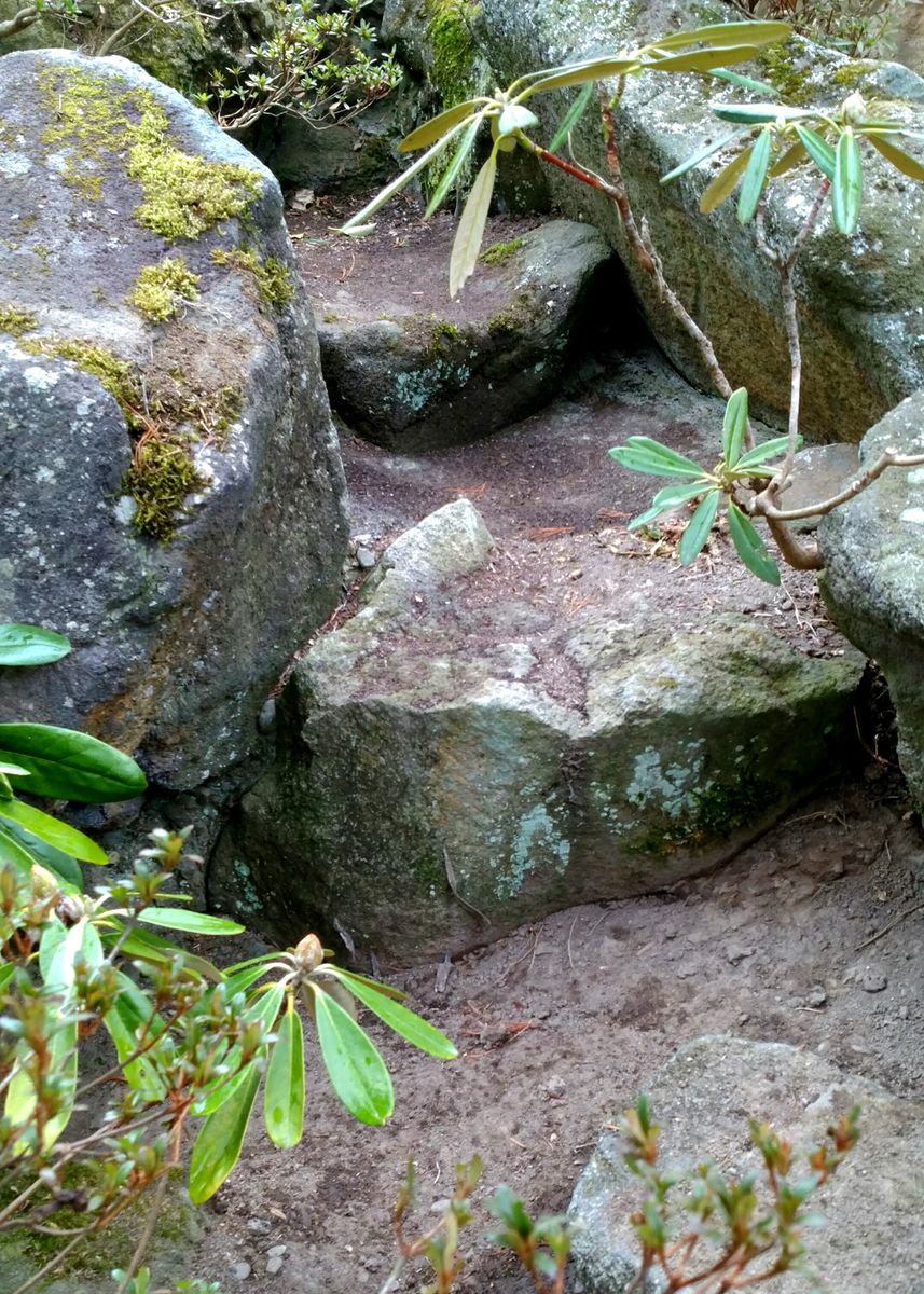 庭の南に造った築山《弐》