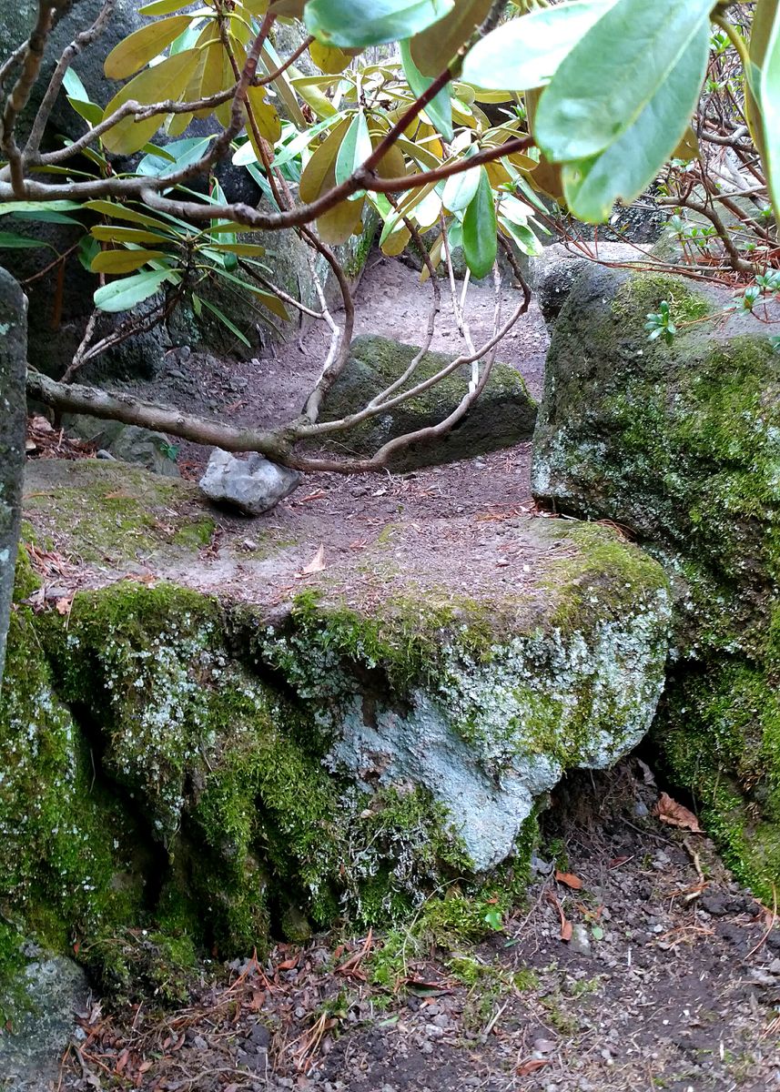 庭の南に造った築山《弐》