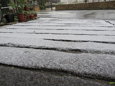 東京・・また雪です・・