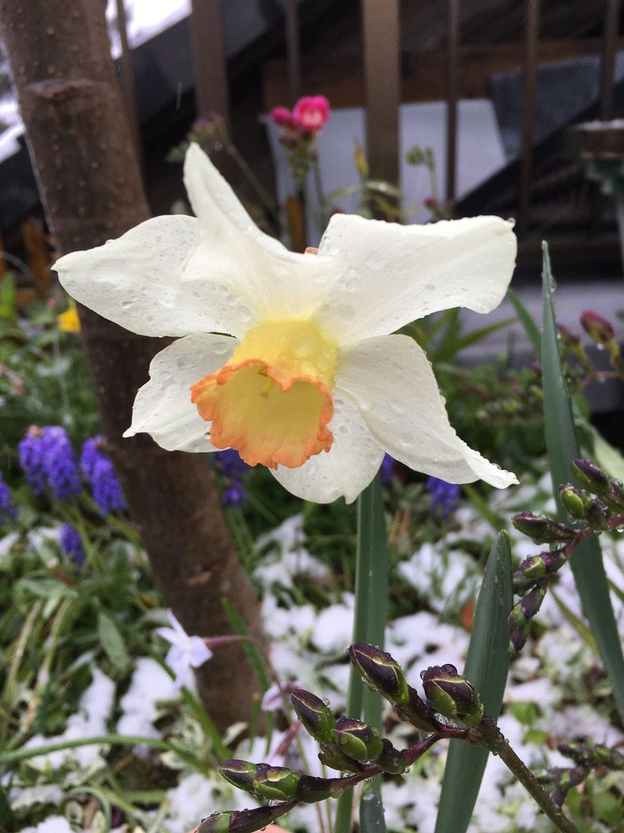 雨☔️ 雪☃️ 雨☔️