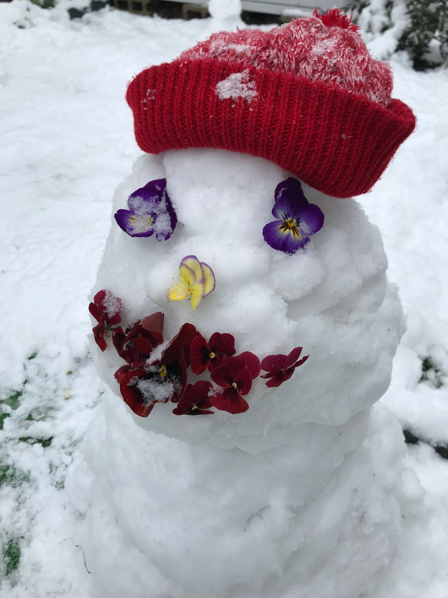 花と子どもと雪だるま⛄️