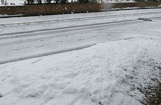 芝桜は埋まったけど・・雪はもうやみました・・