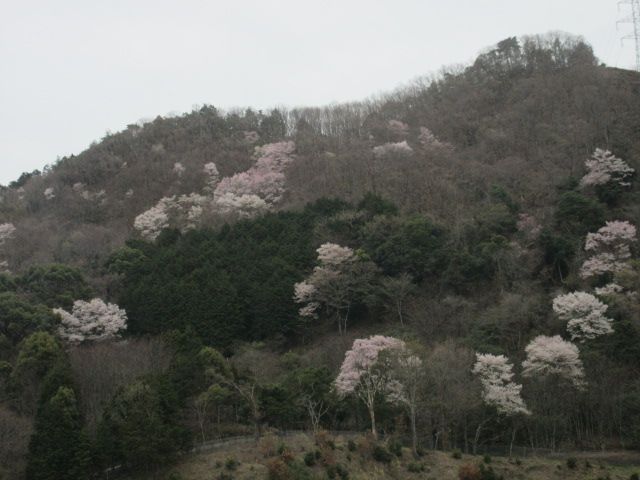 京都へお出かけ