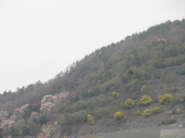 京都へお出かけ