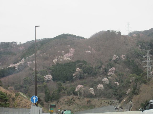 京都へお出かけ