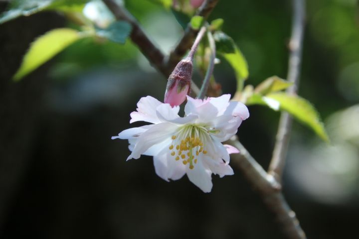 休日の土曜日😊