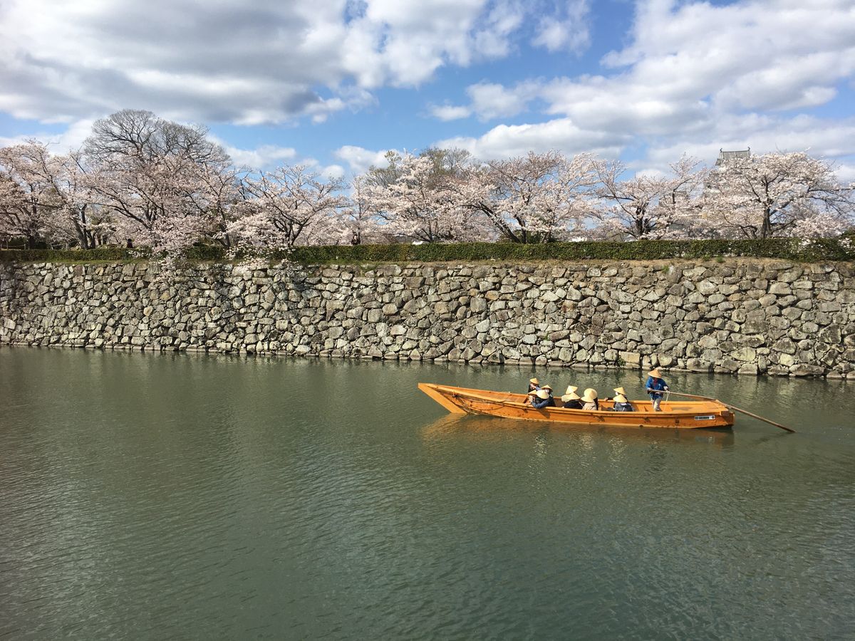 姫路城の桜その3