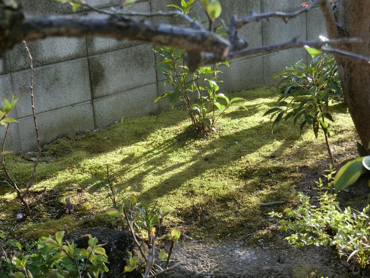 (^^♪降りしきる雨の吐息に