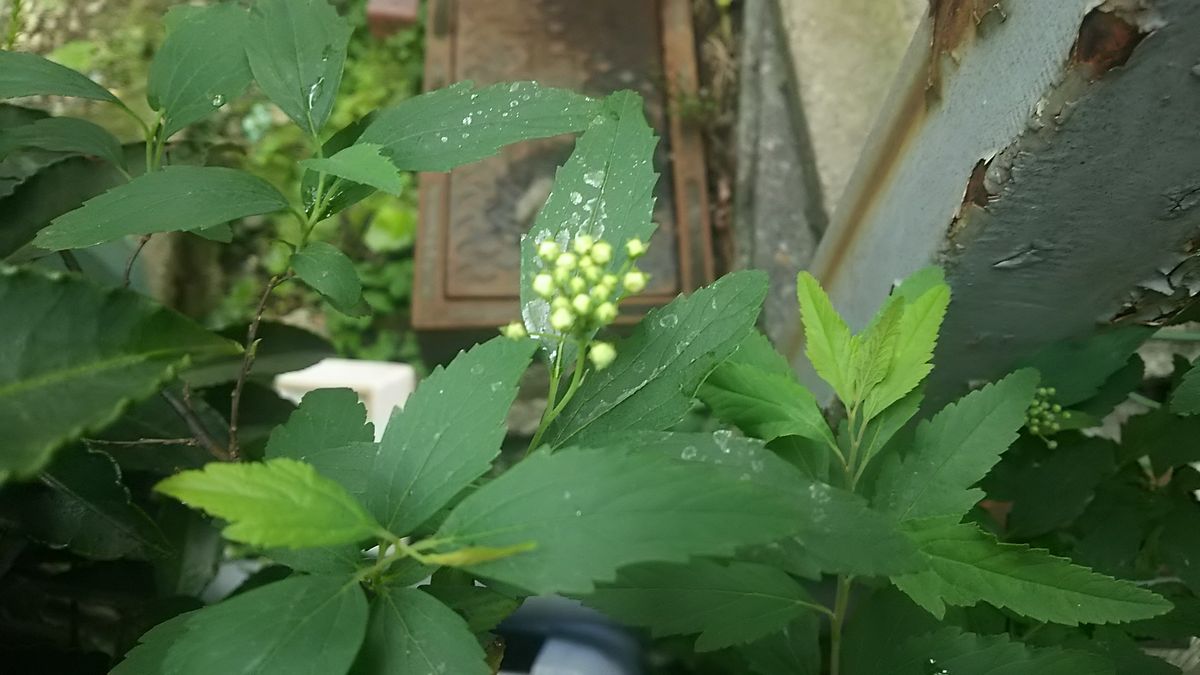 ポカポカ陽気☀