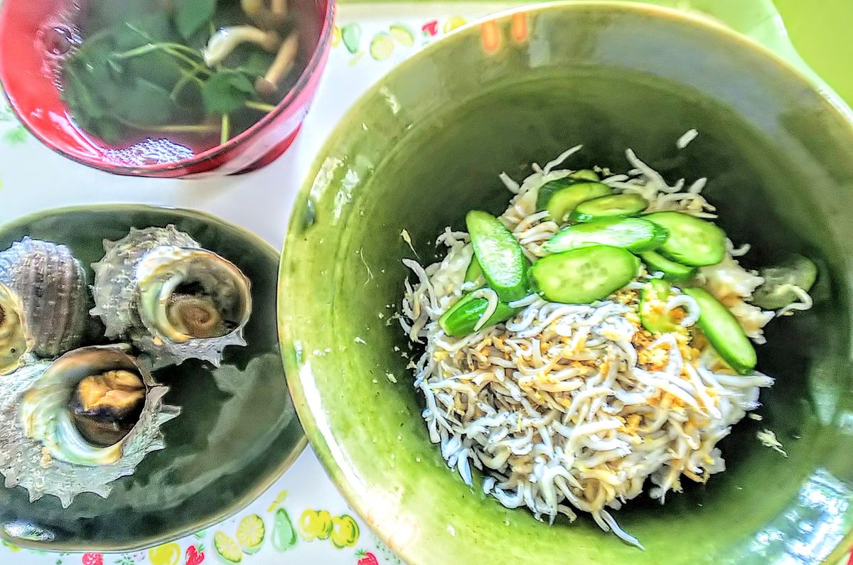 今日の野菜としらす丼