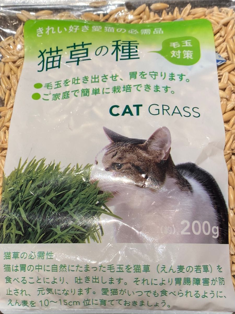 猫草