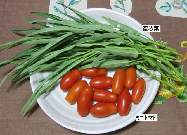 本日の夕食（モロヘイヤ）