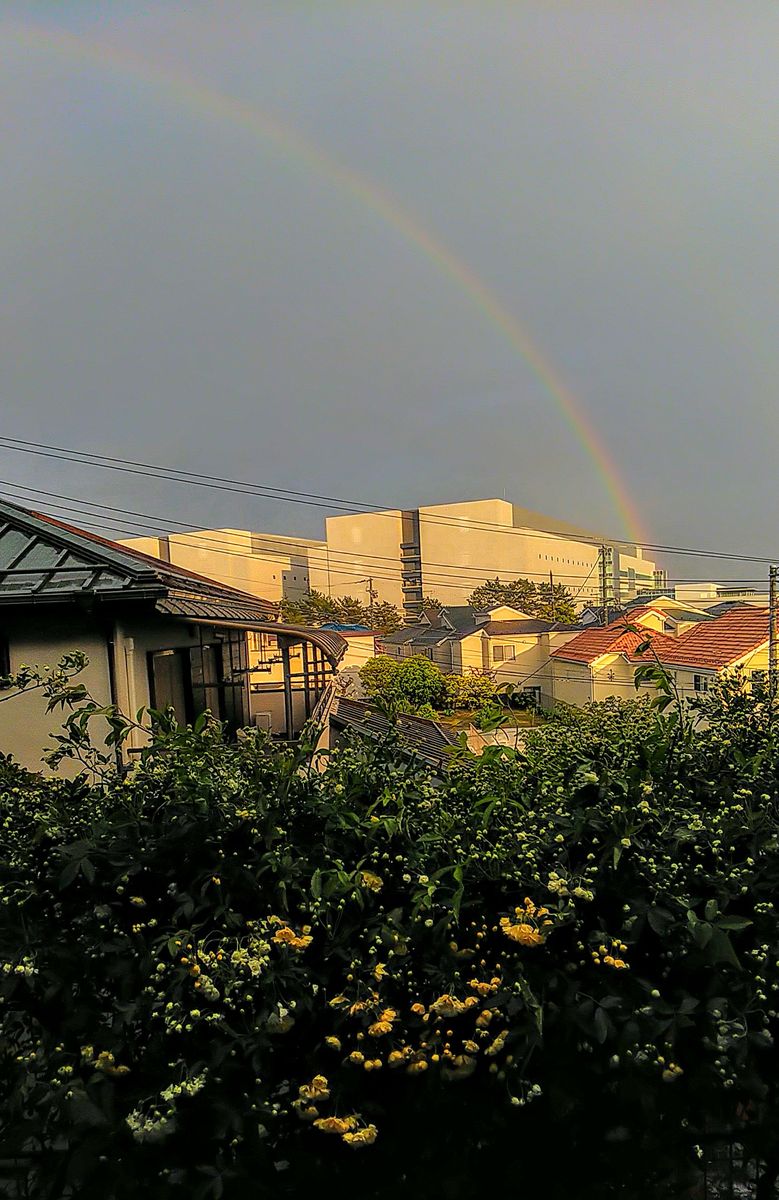 嵐の後の暗い虹🌈