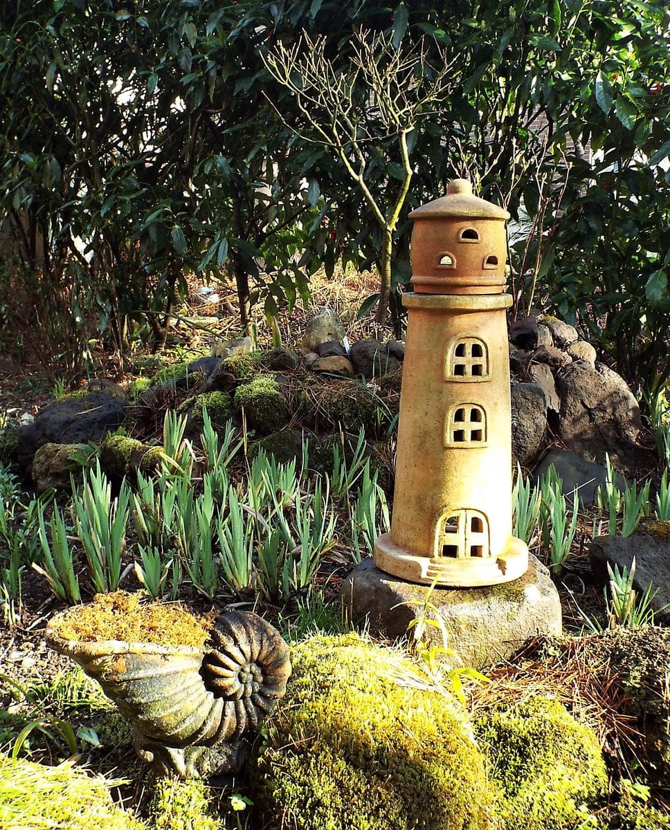 雨上がりの苔がきれい