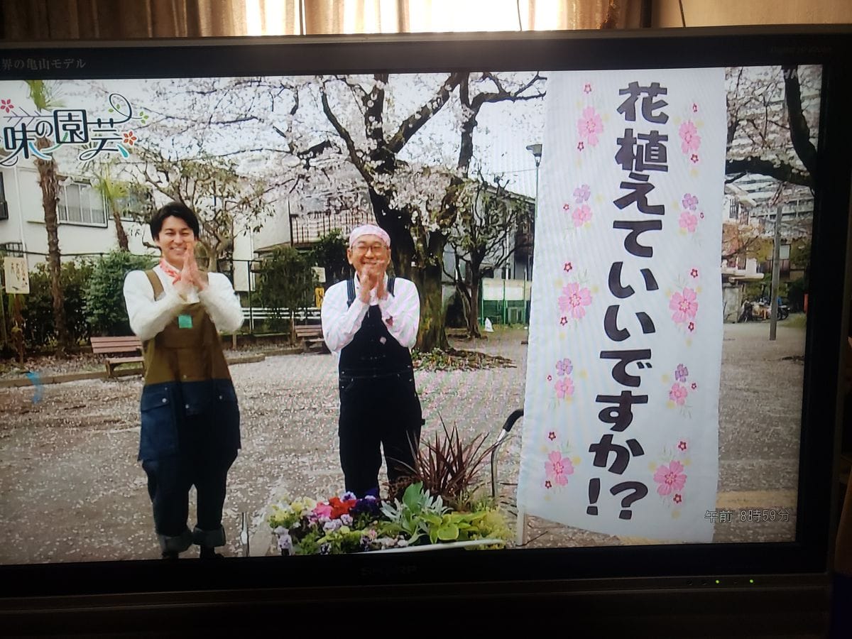 花植えていいですか。