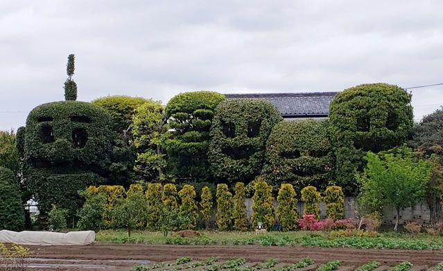 ご近所散歩