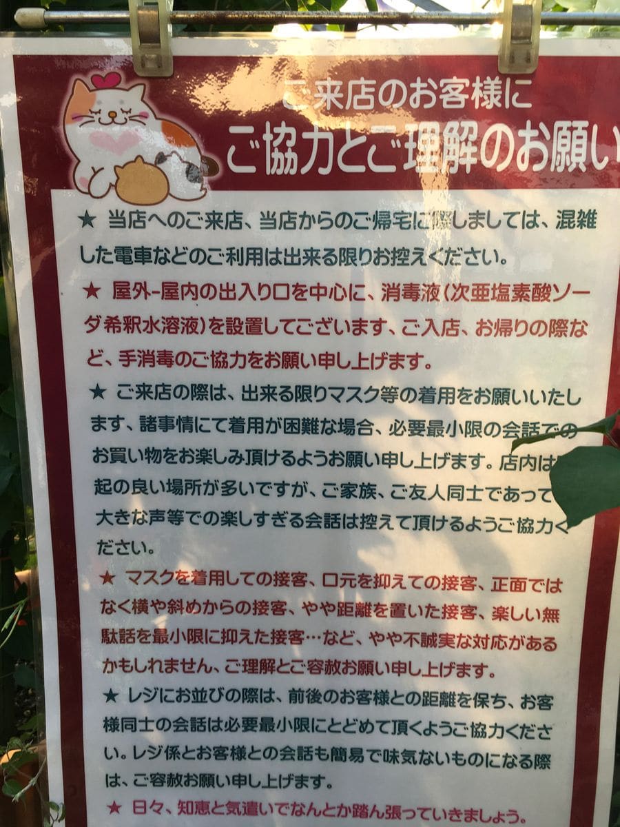 緊急事態宣言下における弊社の取り組みととりあえず、今日の花。