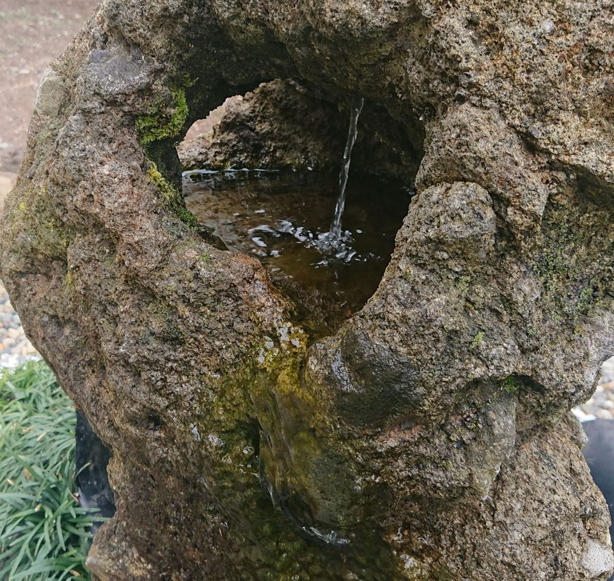 雨でのんびり過ごしました😅