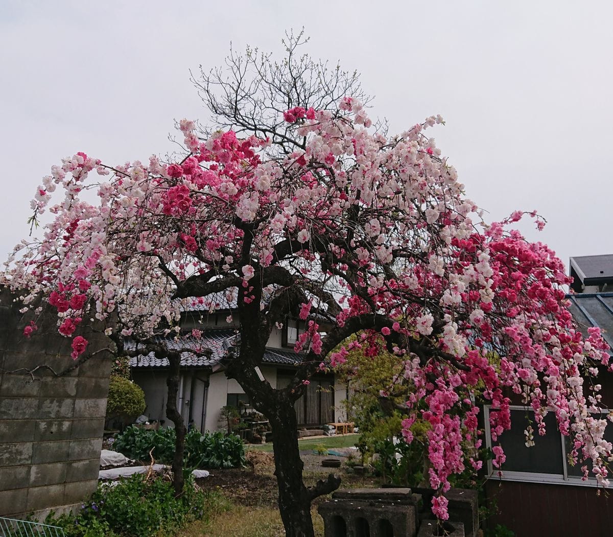 曇り空です