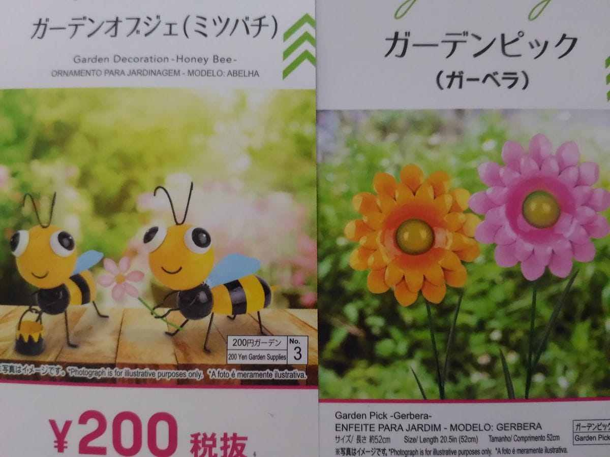 🐝足の折れたミツバチとチューリップ🌷