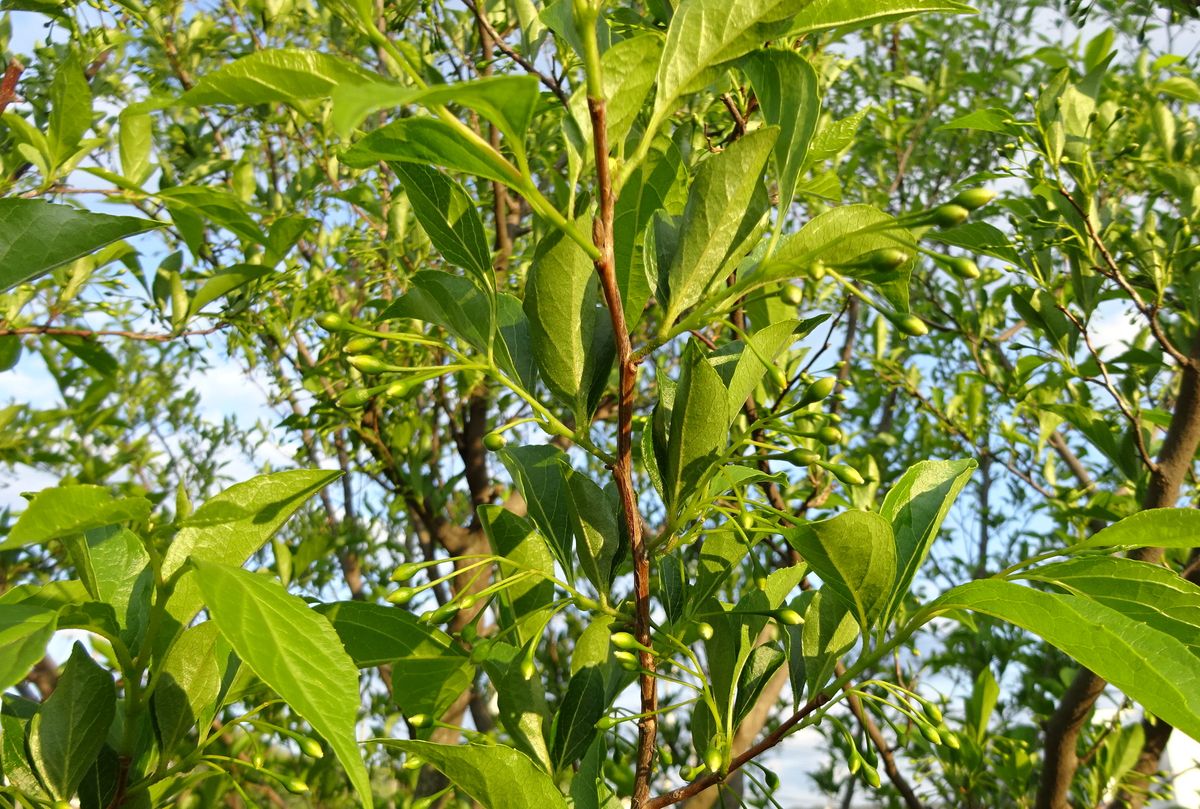 風が吹くから出かけた