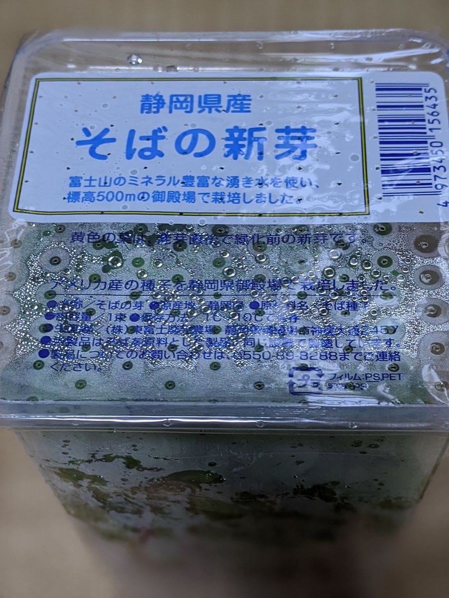 明日の蕎麦スプラウトの準備