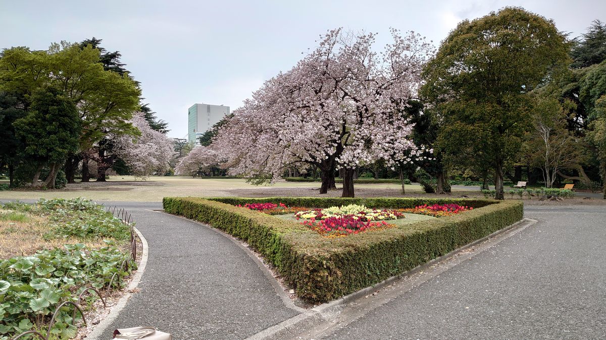 新宿御苑の園内花壇