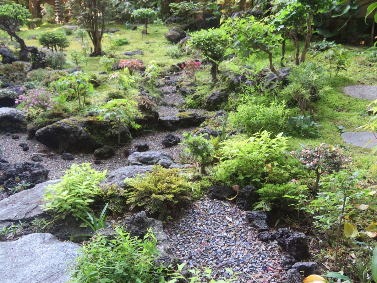 しっとり朝の苔庭